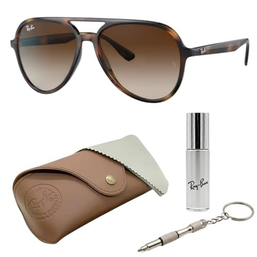 Ray-Ban RB4376 Pilot Shape Sunglasses with Official Eyewear Kit | Amazon (US)