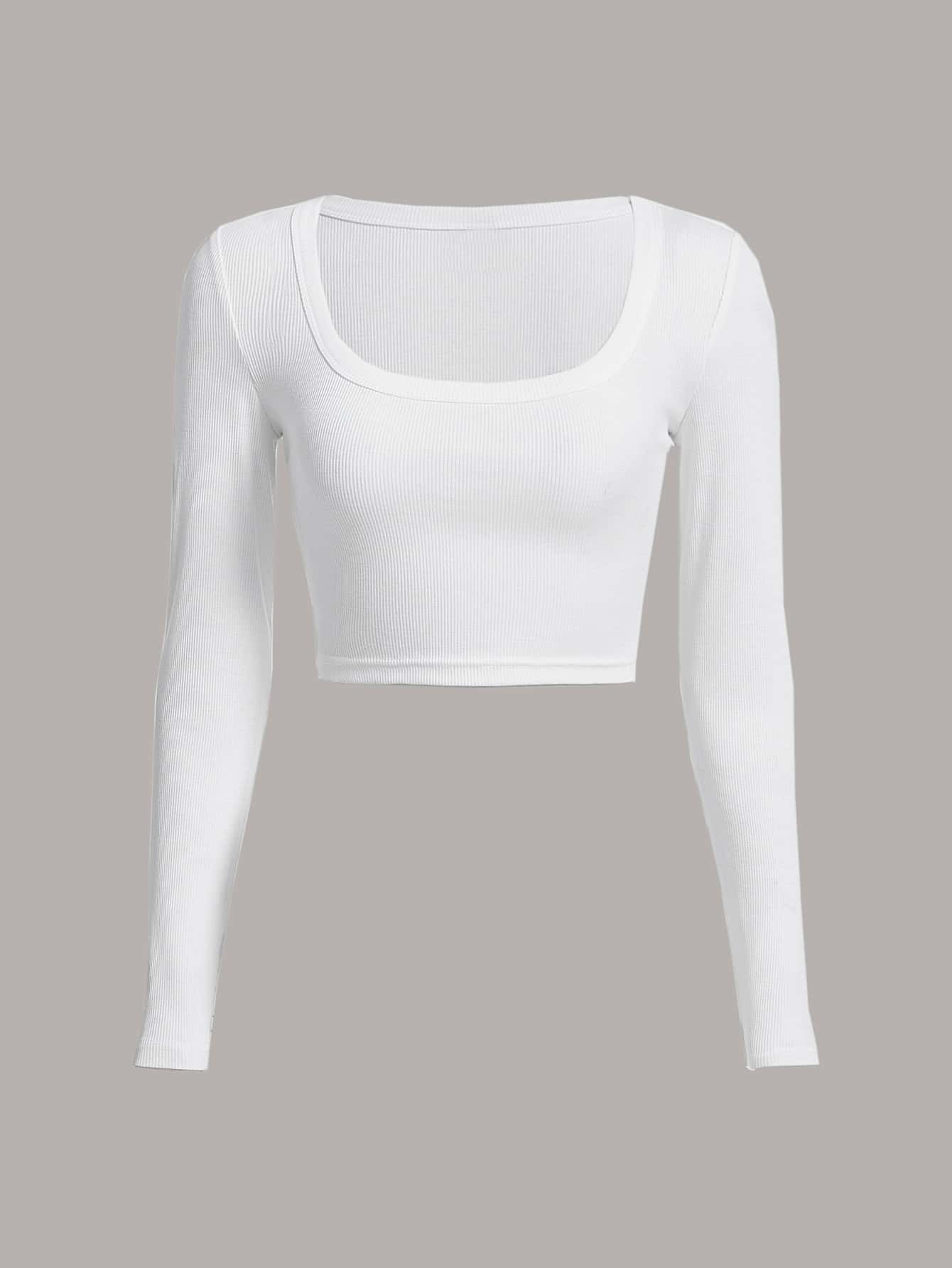 SHEIN EZwear Square Neck Crop Tee | SHEIN