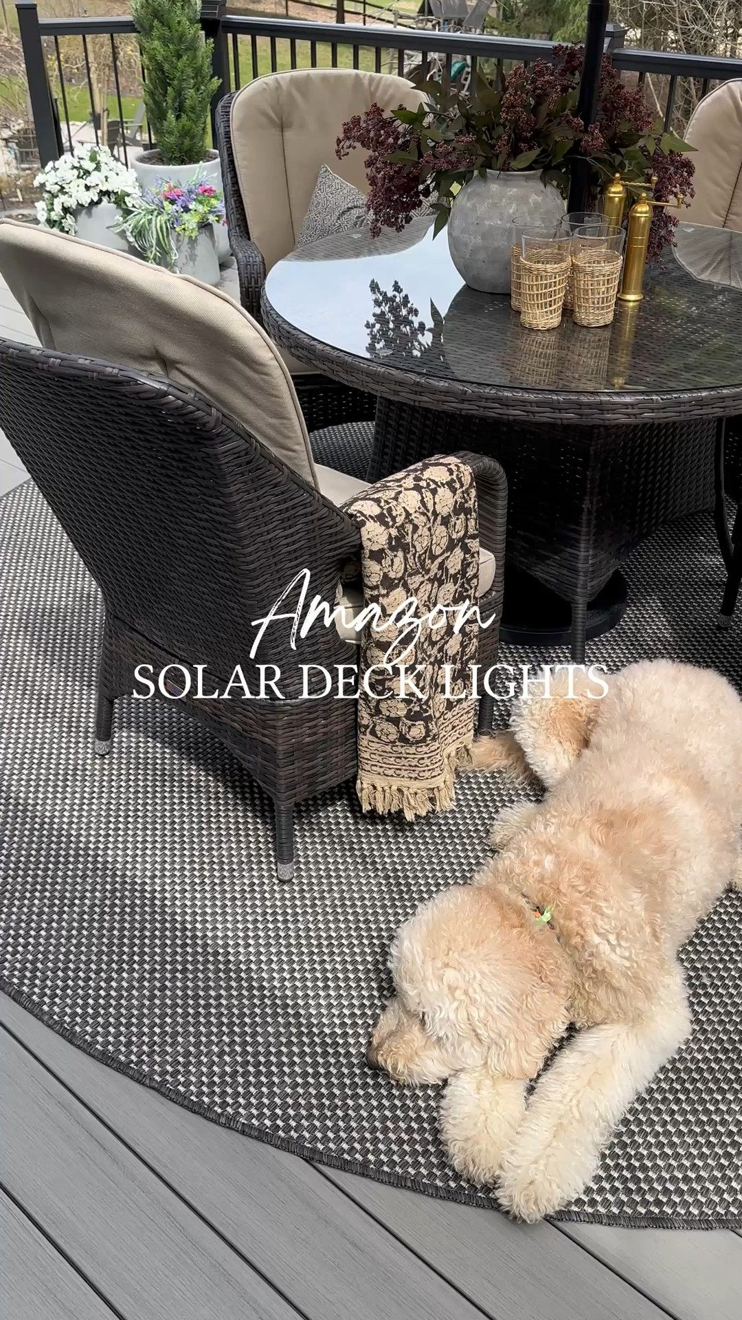 Amazon Solar Lights. Follow @farmtotablecreations on Instagram for more inspiration.

The best way to elevate your outdoor space is to add these led solar lights. I found the perfect set that emit’s the coziest glow. They automatically turn on and off from dusk to dawn, are waterproof, and last 10 to 12 hours each night. Installation is a breeze, as they can be mounted with just two screws or double-sided tape like I used. They come in packs of either 8 or 12, have 7 different lighting modes and are the perfect worry free lighting solution.

#solarlights #outdoordining #outdoorfurniture #outdoortable #fauxflowers



#LTKSaleAlert #LTKHome