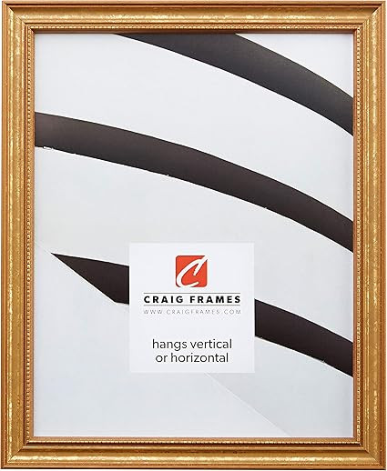 Craig Frames 314GD, Ornate Gold Picture Frame, 20 x 26 Inch | Amazon (US)