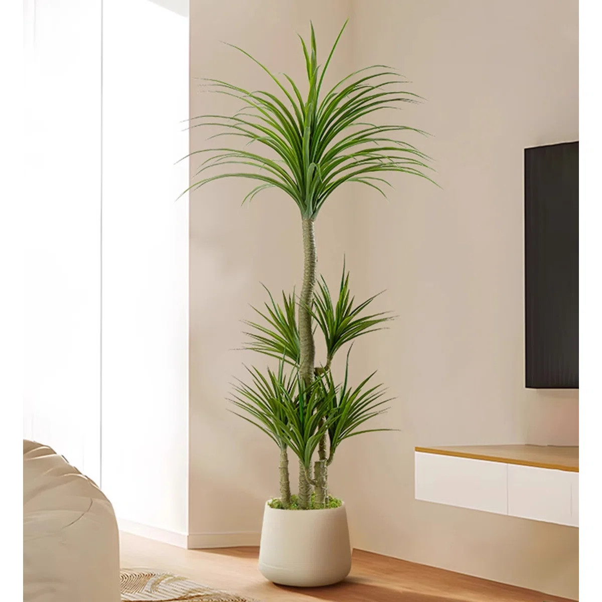 High-End Dragon's Blood Tree Bionic Green Plant | Wayfair North America