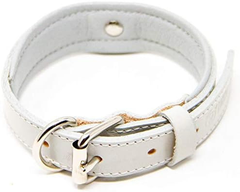 Logical Leather Deluxe Padded Genuine Full Grain Leather Collar | Amazon (US)