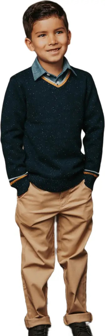 Hope & Henry Boys' Organic V-Neck Sweater, Kids | Nordstrom | Nordstrom