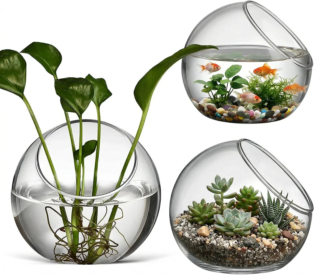 balacoo 3 Pcs Glass Terrariums Bowl for Plants, Terrarium Jar for Air Plant Clear Globe Vase Glas... | Amazon (US)