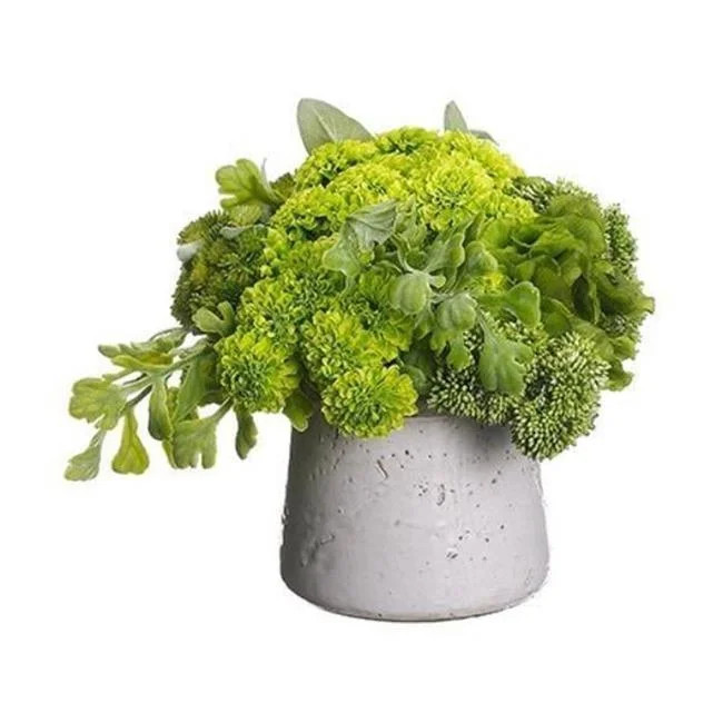 Allstate Floral & Craft WF9108-GR 10 x 13 x 14 in. Pompom, Fern & Lambs Ear Arrangement, Sto are Container - Green - Walmart.com | Walmart (US)