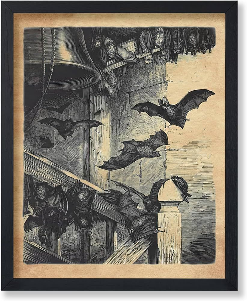 Poster Master Vintage Bats In The Belfry Poster - Retro Vampire Bats Print - Gothic Bat Art - Gif... | Amazon (US)