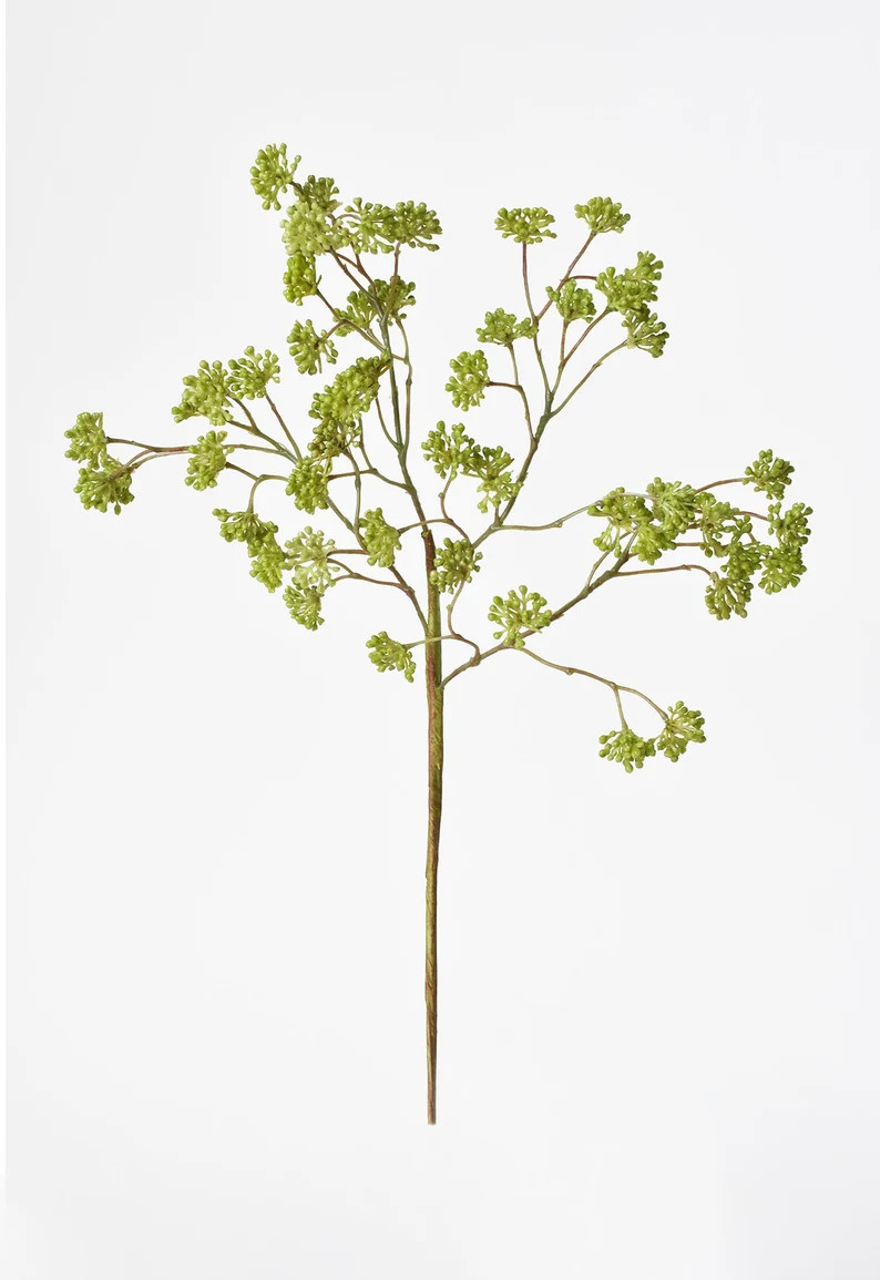 16" Soft Green Sedum Stem | Etsy (US)