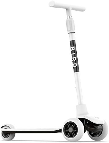 Amazon.com : Bird Birdie Kick Scooter for Kids, 3-Wheeled, Adjustable Height Handle, Lean to Stee... | Amazon (US)