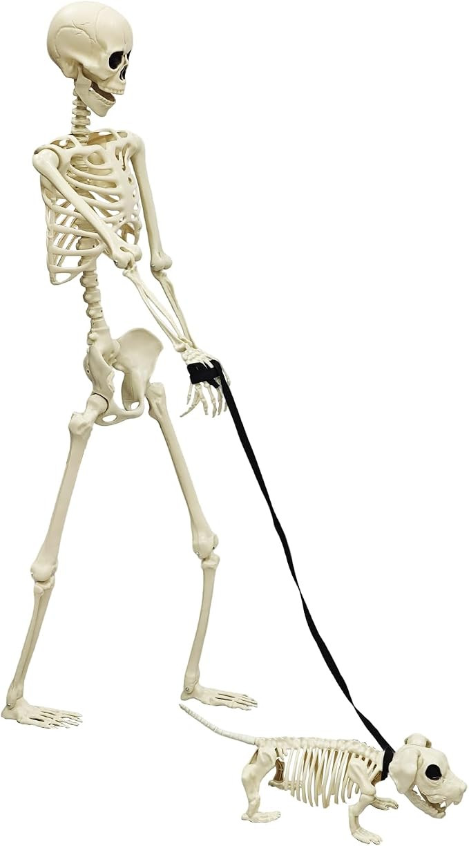 Halloween Skeleton 5.4FT Life Size Human Adult Skeletons with Skeleton Dog Halloween Decorations ... | Amazon (US)