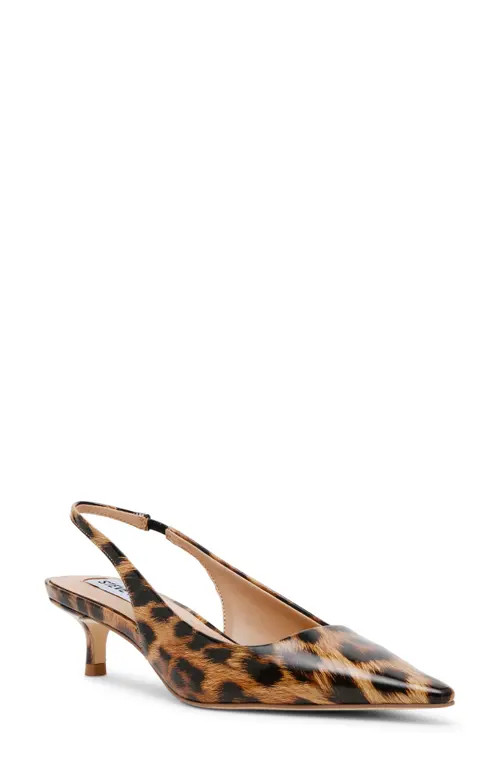 Steve Madden Kari Pointed Toe Kitten Heel Slingback Pump in Leopard at Nordstrom, Size 6.5 | Nordstrom