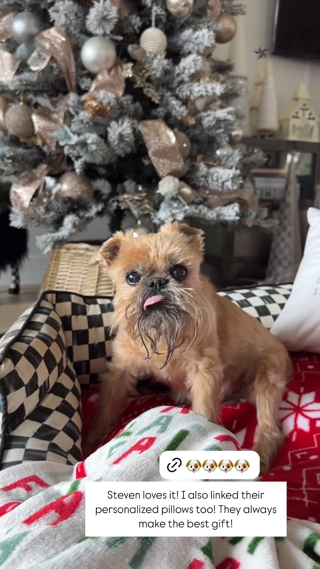 Lots of questions on the boys dog bed! Linked a few size options, a ton of Christmas blankets and their customizable pillow

Christmas decor, pet beds, pet decor, Mackenzie-Childs decor




#LTKHoliday #LTKSeasonal #LTKHome