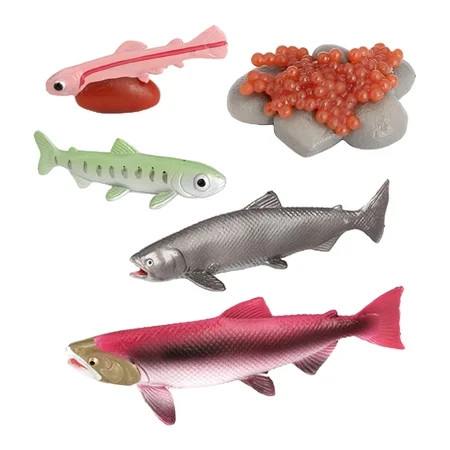 Sea Turtle Growth Playset Animal Growth Cycle Teaching Aids Classroom Kids Congnitive Imagination An | Walmart (US)