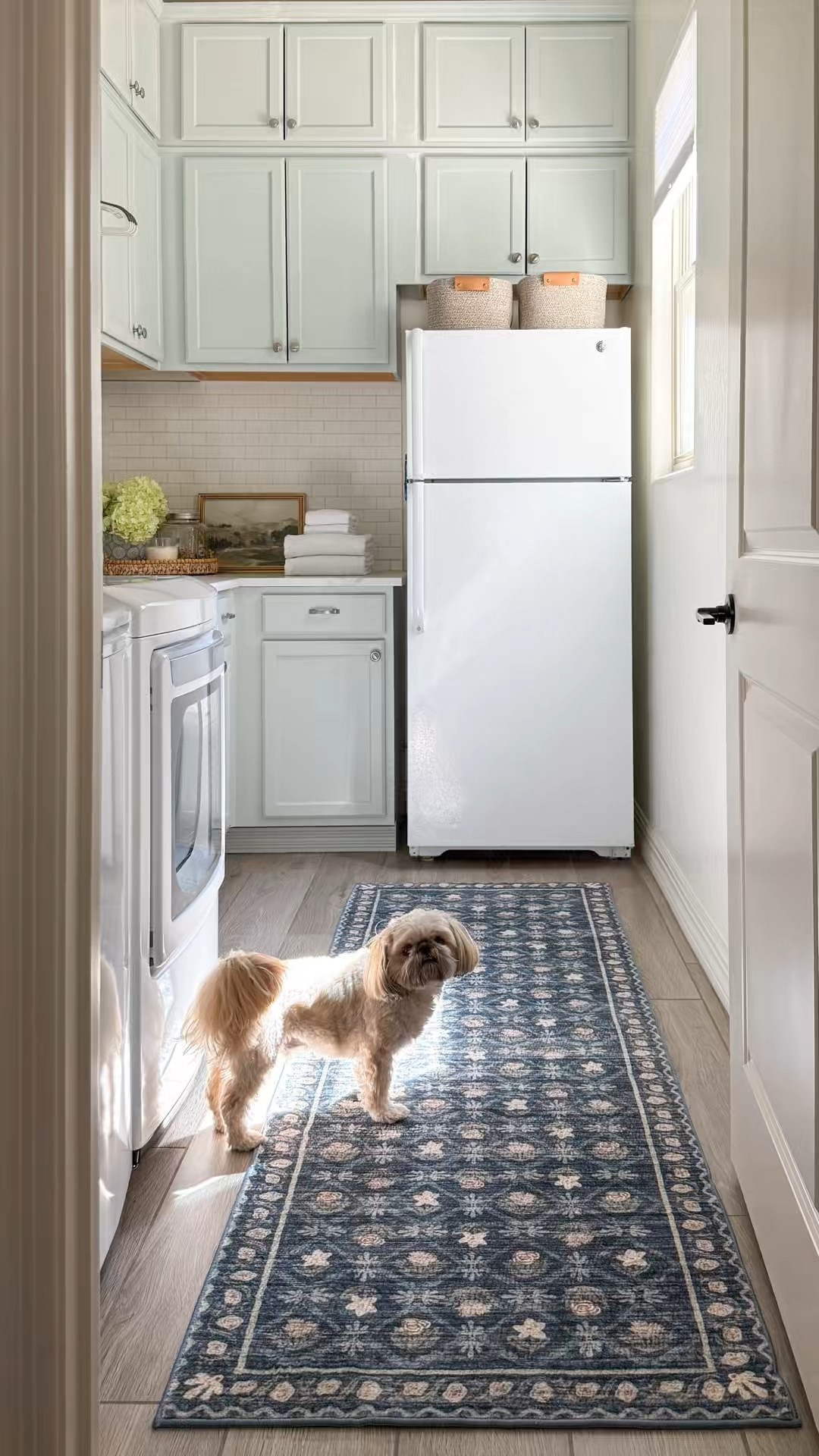 Work break from the laundry to share my new runner from Rifle Paper Co x Loloi Rugs! 
Eden Collection 
Lattice Indigo 
Prime Day Oct 2025 
Runner 
Cloudpile 
Vintage inspired motif design 
Sale 
Laundry room 
Room makeover 
Unfinished cabinets 
#loloiprimeday2025
#riflepapercololoi 
Amazon find 
Floor covering 
Amazon prime day 

#LTKFindsUnder100 #LTKHome #LTKSaleAlert