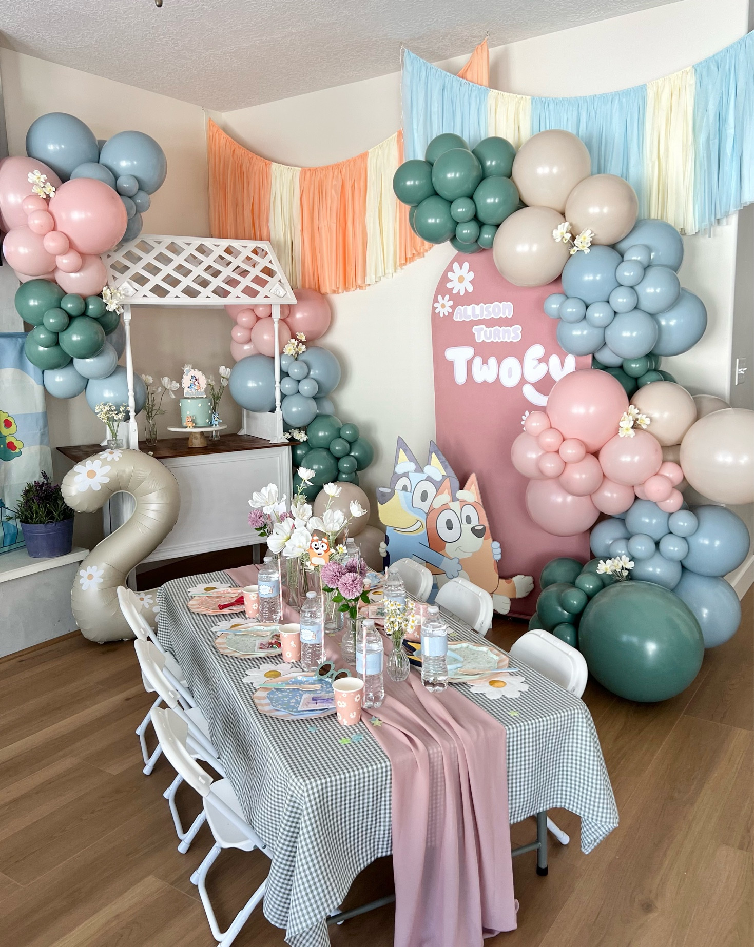 TWOEY party links for your Bluey Party! 
🌸🌸🌸

🥳Becca 

#LTKkids #LTKparties