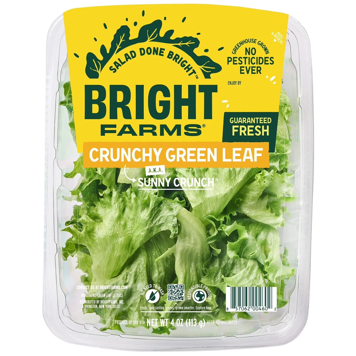 BrightFarms Crunchy Green Lettuce aka Sunny Crunch, 4 oz Salad | Walmart (US)