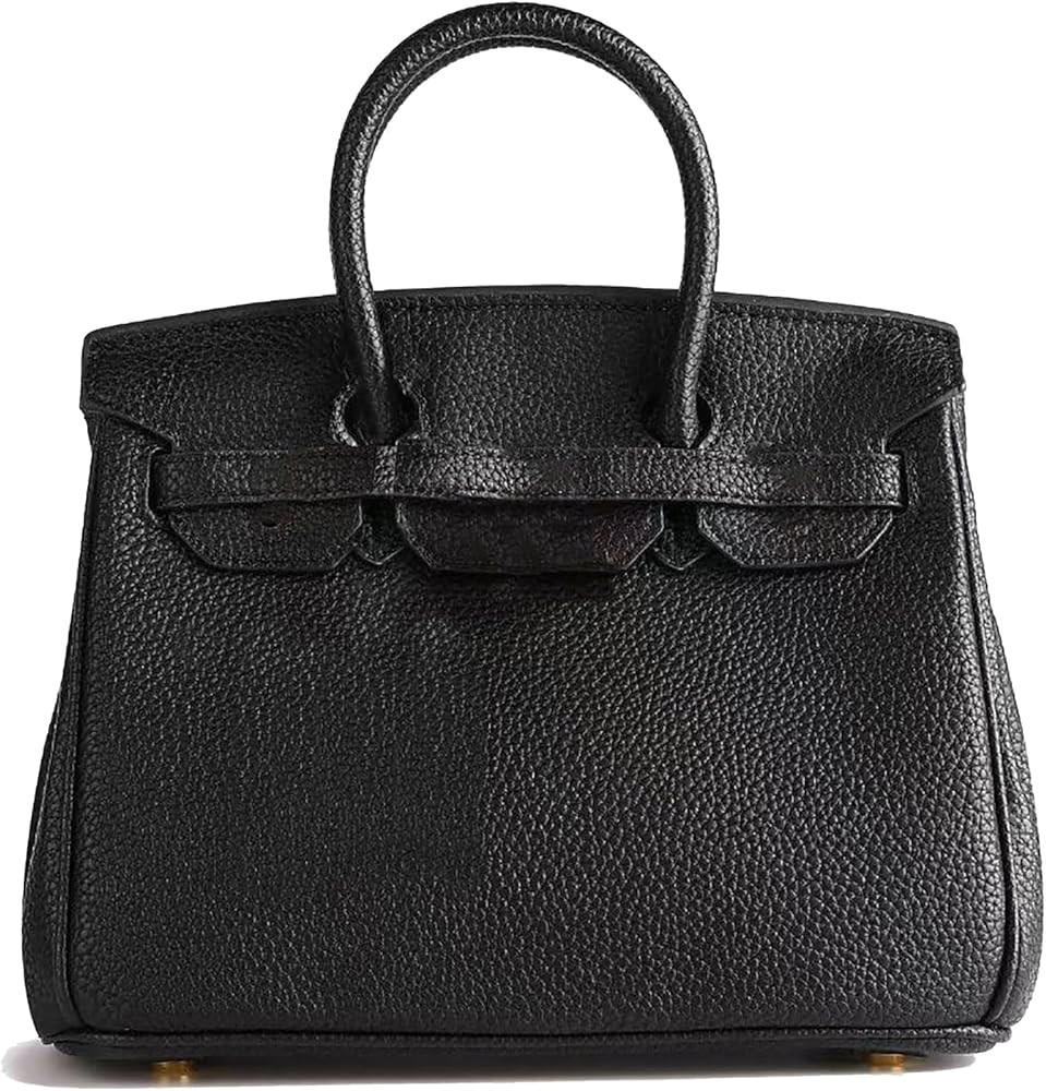 Top Handle Bags for Women,Classic Casual Crossbody Bag,Fashion High-end Light Luxury Purse Should... | Amazon (US)