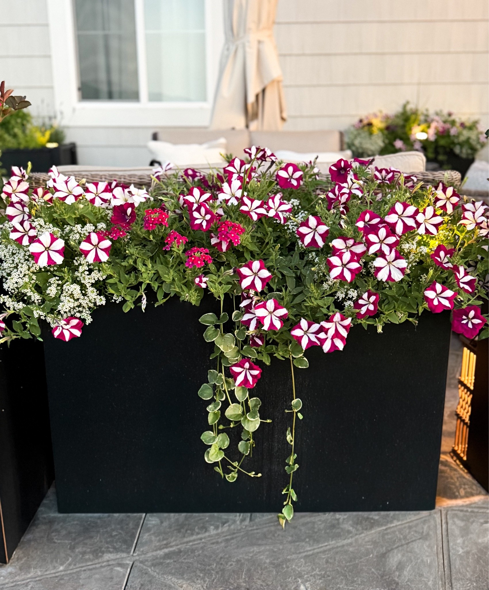 Planter box.  I’ve had 2 of these planter boxes for 3 plus years and they have been outside in the snow and all kinds of weather and they are still amazing!  Highly recommend!

#LTKHome
