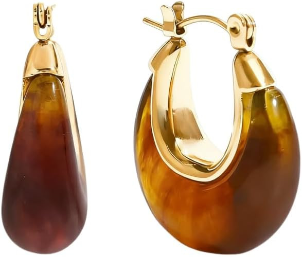 Brown Chunky Small Hoop Earrings for Women Fashion Dainty Stainless Steel Gold-tone Resin U Shaped Huggie Hoops Trendy Jewelry for Her Bff | Amazon (US)