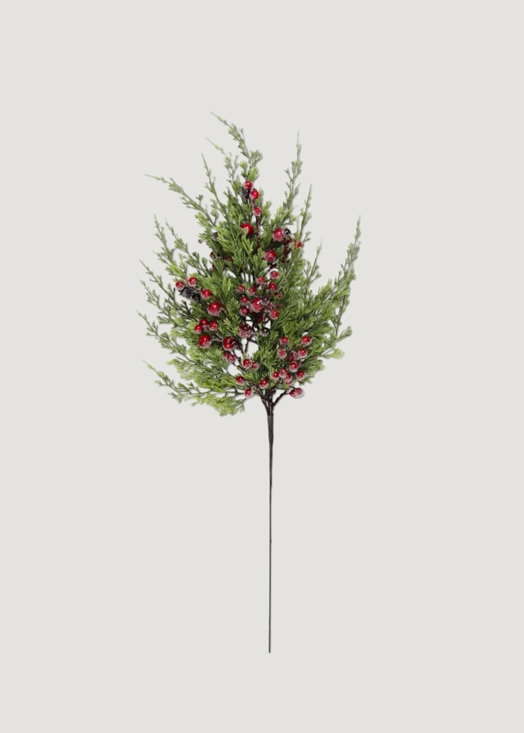 Cypress Pine Branch with Red Berries | Fake Holiday Greens | Afloral | Afloral