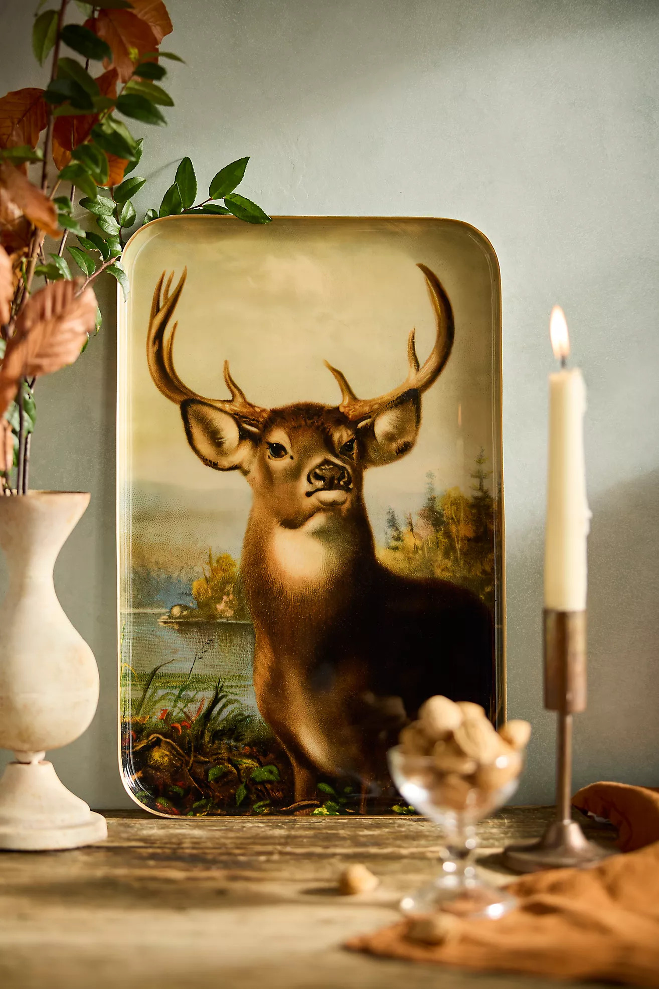 Printed Archival Tray, Large | Anthropologie (US)