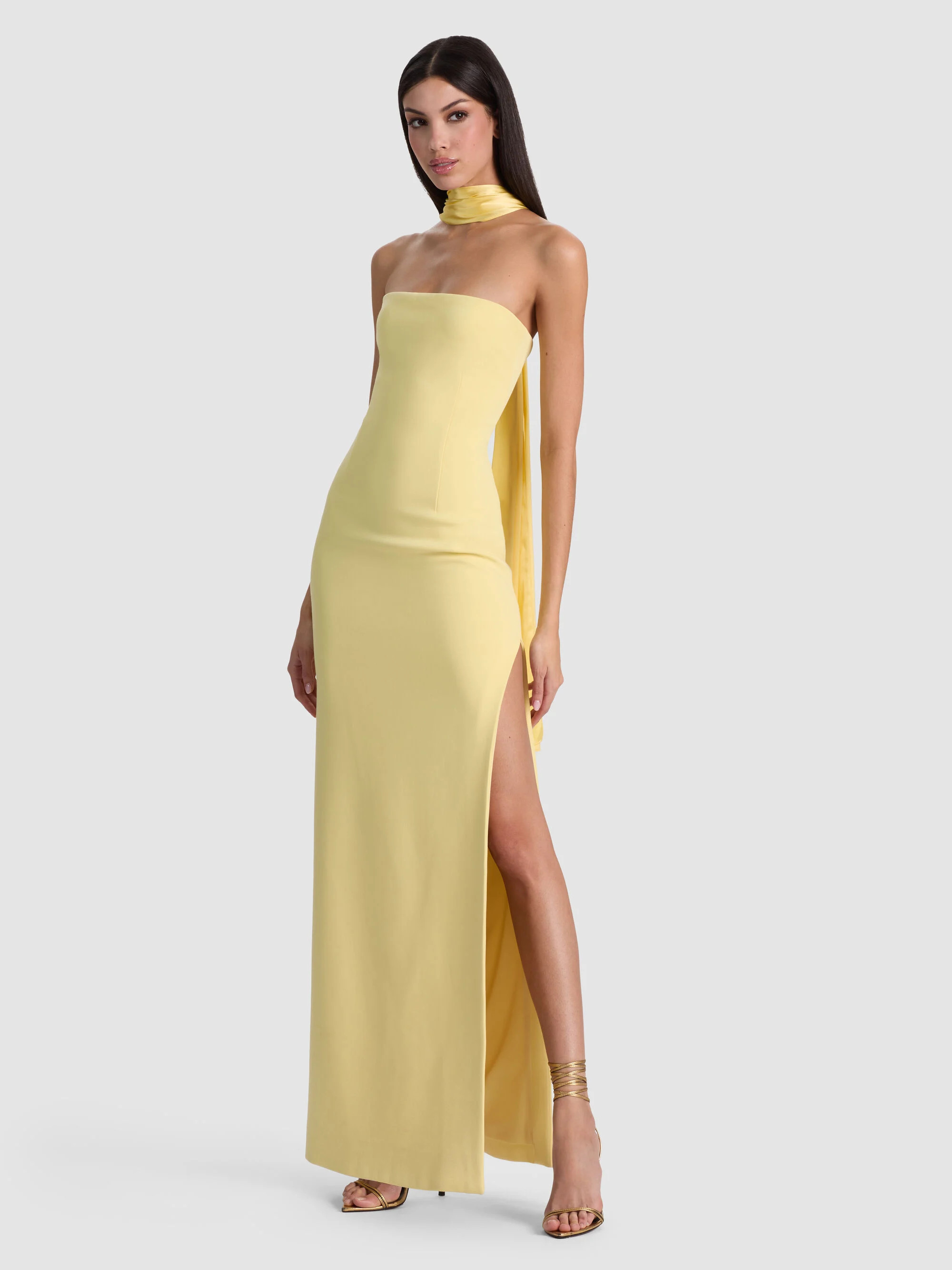 CHANA MAXI DRESS WITH SCARF | Alice + Olivia