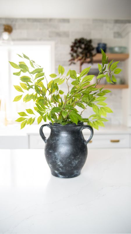 Artificial stemmed leaves and ceramic vase, coastal style home decor

#LTKhome #LTKfamily