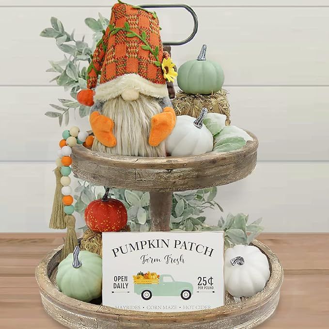 Fall Decor - Fall Decorations for Home - Gnomes Plush with 5 Artificial Pumpkins & Bead Garland a... | Amazon (US)