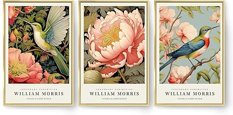 OVVGVV William Morris Wall Art set of 3 large Framed Vintage botanical Colorful Abstract Nature F... | Amazon (US)