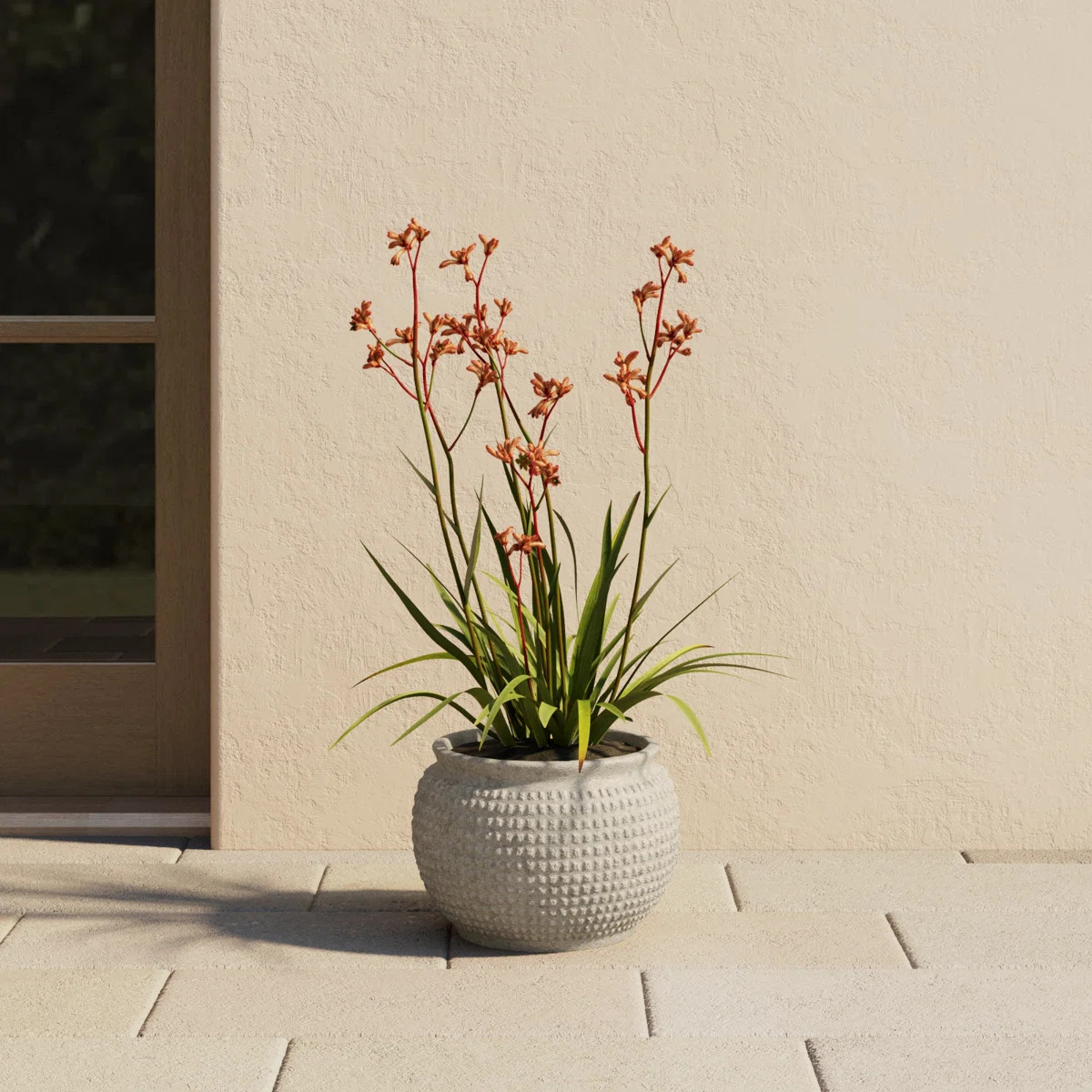 Pot Planter | Wayfair North America