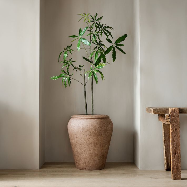 Faux Potted Brachychyton Rupestris Tree | West Elm (US)