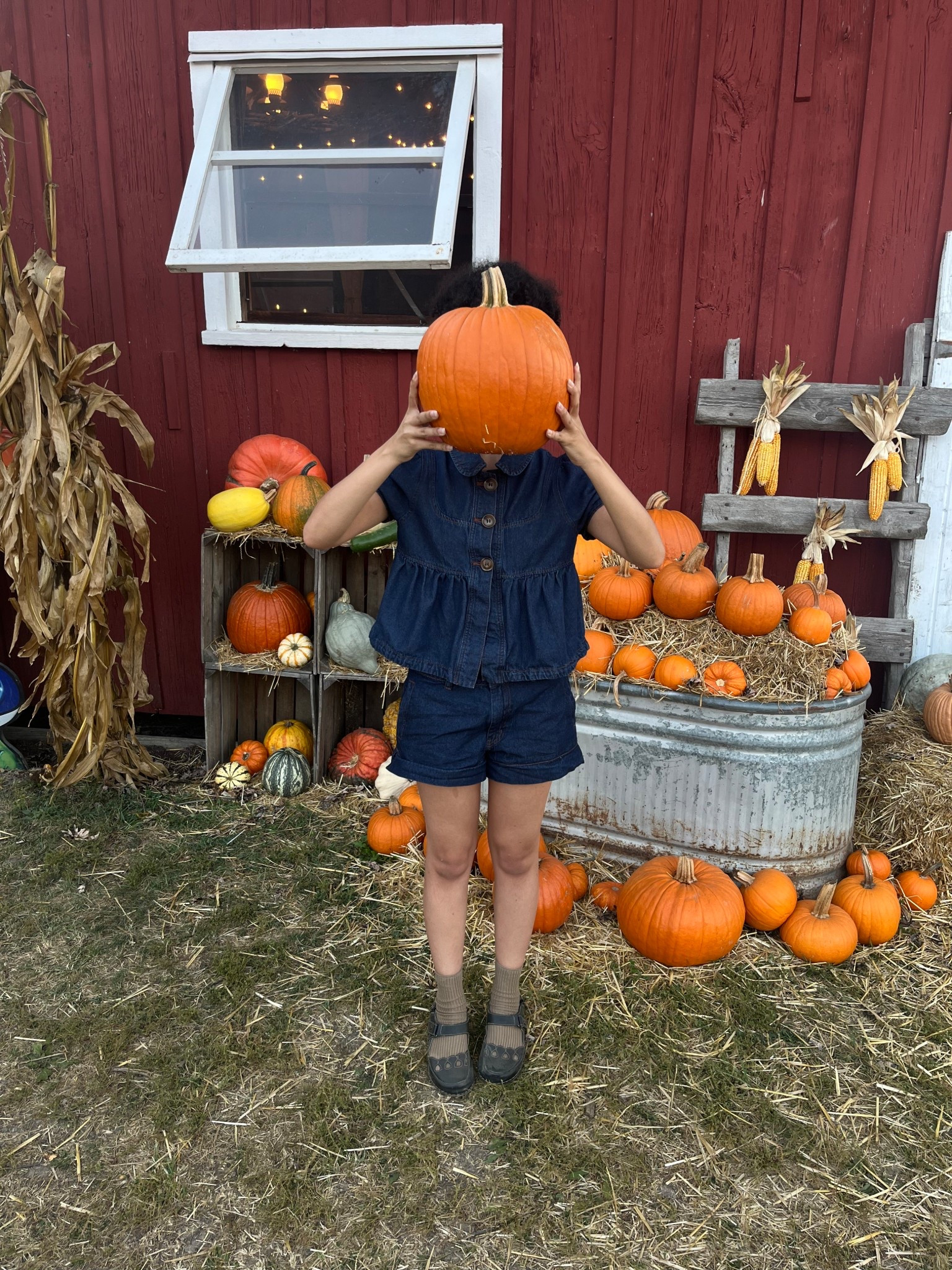 Looking for fall outfit inspo or a pumpkin patch outfit? Check out this peterpan collared top and short set from Cider.

This set is the perfect autumn color palette. It’s a great fall outfit women can wear hehe.

Autumn outfits are here to stay~ 

#LTKSeasonal