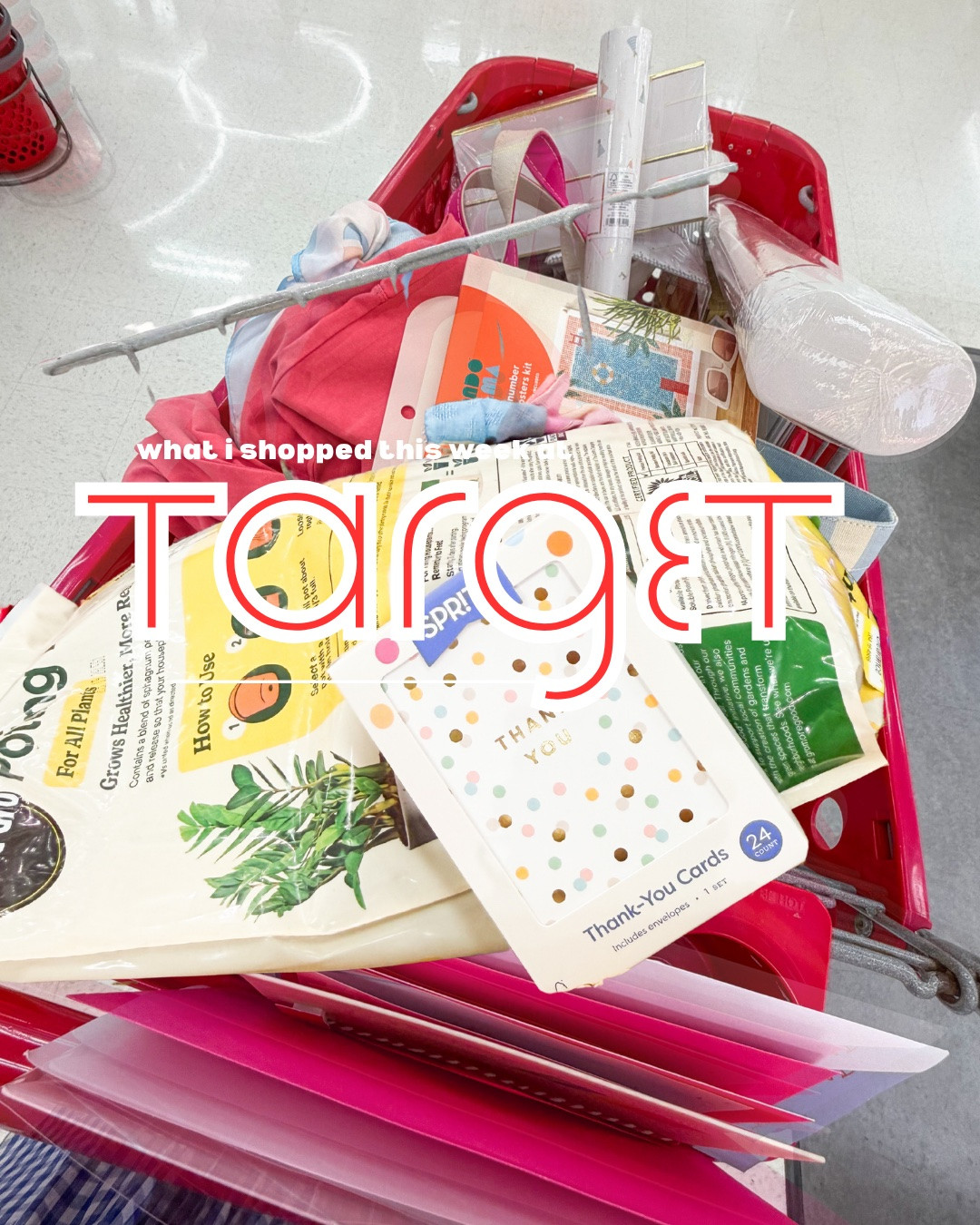 what I shopped at target this week 🙃

#LTKdayinmylife #LTKHome #LTKmomlife