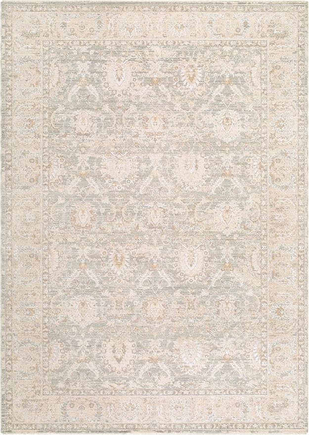 Livabliss x Rachel Zoe The Vintage Edit Traditional Area Rug, 7'10" x 10'2", Seafoam | Amazon (US)
