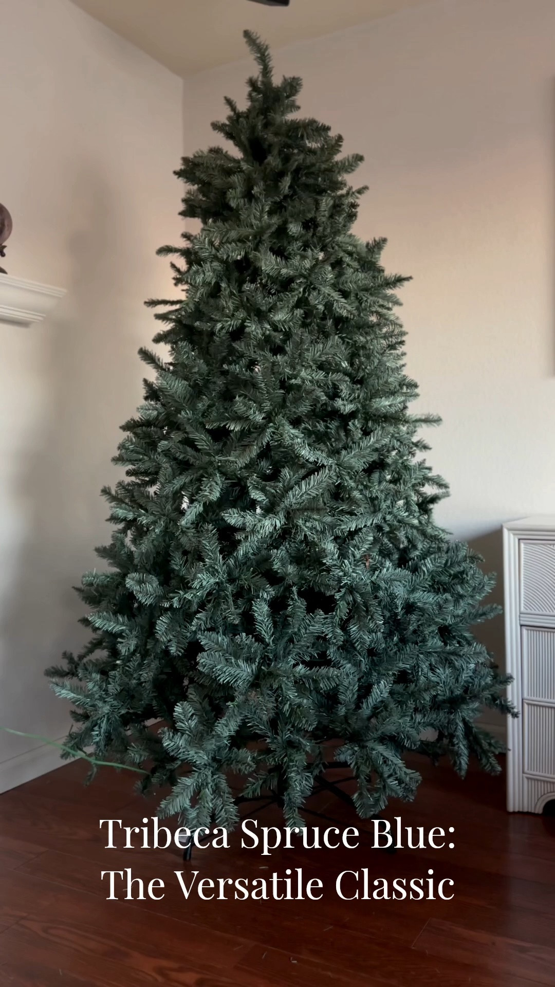 Which look would you bring home?

🌲 Bare Tree
🌿 Woodland Luxe
💙 Jewel Tones
🍂 Copper & Plum
❤️ Traditional Christmas

The Tribeca Spruce Blue from @kingofchristmas  is currently on sale AND clearance and linked below. 

PS the open box clearance section is legit. The trees I’ve bought from it are perfect and such a great deal. 🤩

#LTKSeasonal #LTKHome #LTKOver40