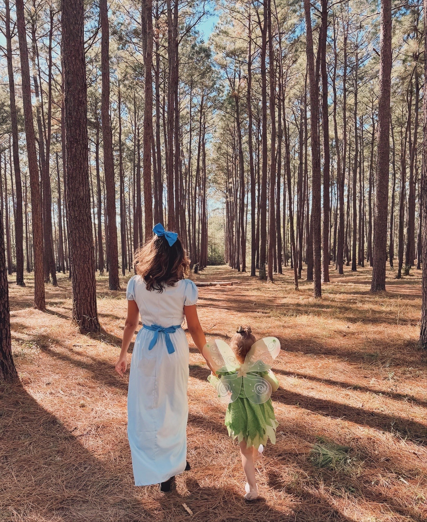 Halloween costume
Toddler fairy  costume 🧚 
Dress up 
Amazon finds


#LTKSeasonal #LTKHoliday