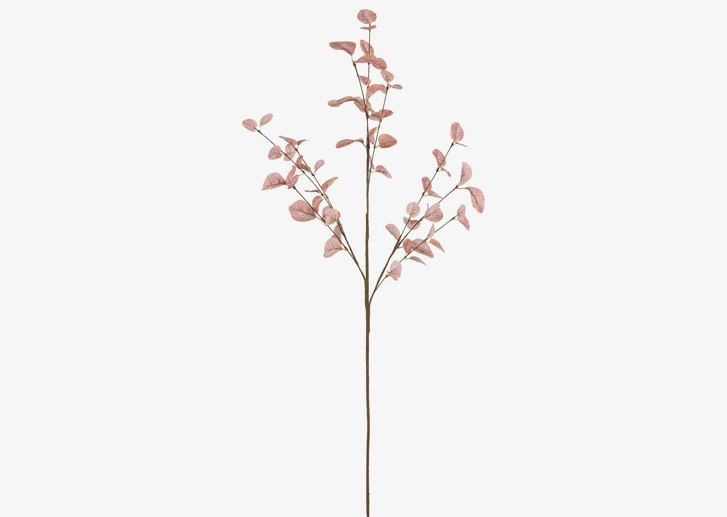 Faux Dried Eucalyptus Branch Pink | Urban Barn