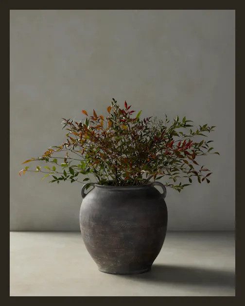 Amos Terracotta Vase | Joon Loloi | Joon Loloi