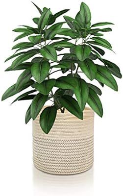 Lubasket Cotton Rope Plant Basket Modern Woven Basket Pot Indoor Planter Up to 12 Inch Pot Storag... | Amazon (US)