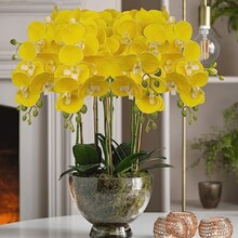 1/2Pc Fake Orchid White Orchids Artificial Flowers Faux Orchid Plant In Pot Orchid Decorations White Potted Flowers Bathroom Flower For Home Kitchen T | SHEIN