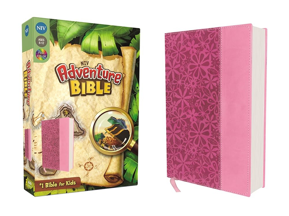 NIV, Adventure Bible, Leathersoft, Pink, Full Color | Amazon (US)