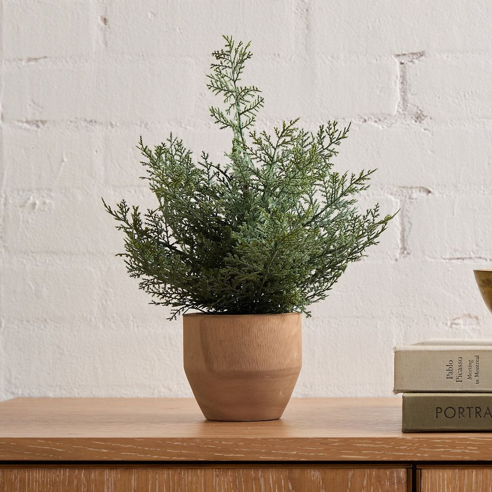 Faux Potted Pine Tabletop Tree | West Elm (US)