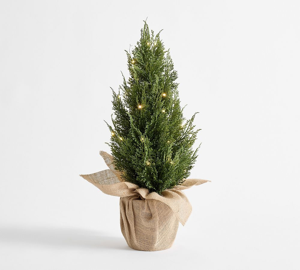 Faux Lit Topiary Pine Tree | Pottery Barn (US)