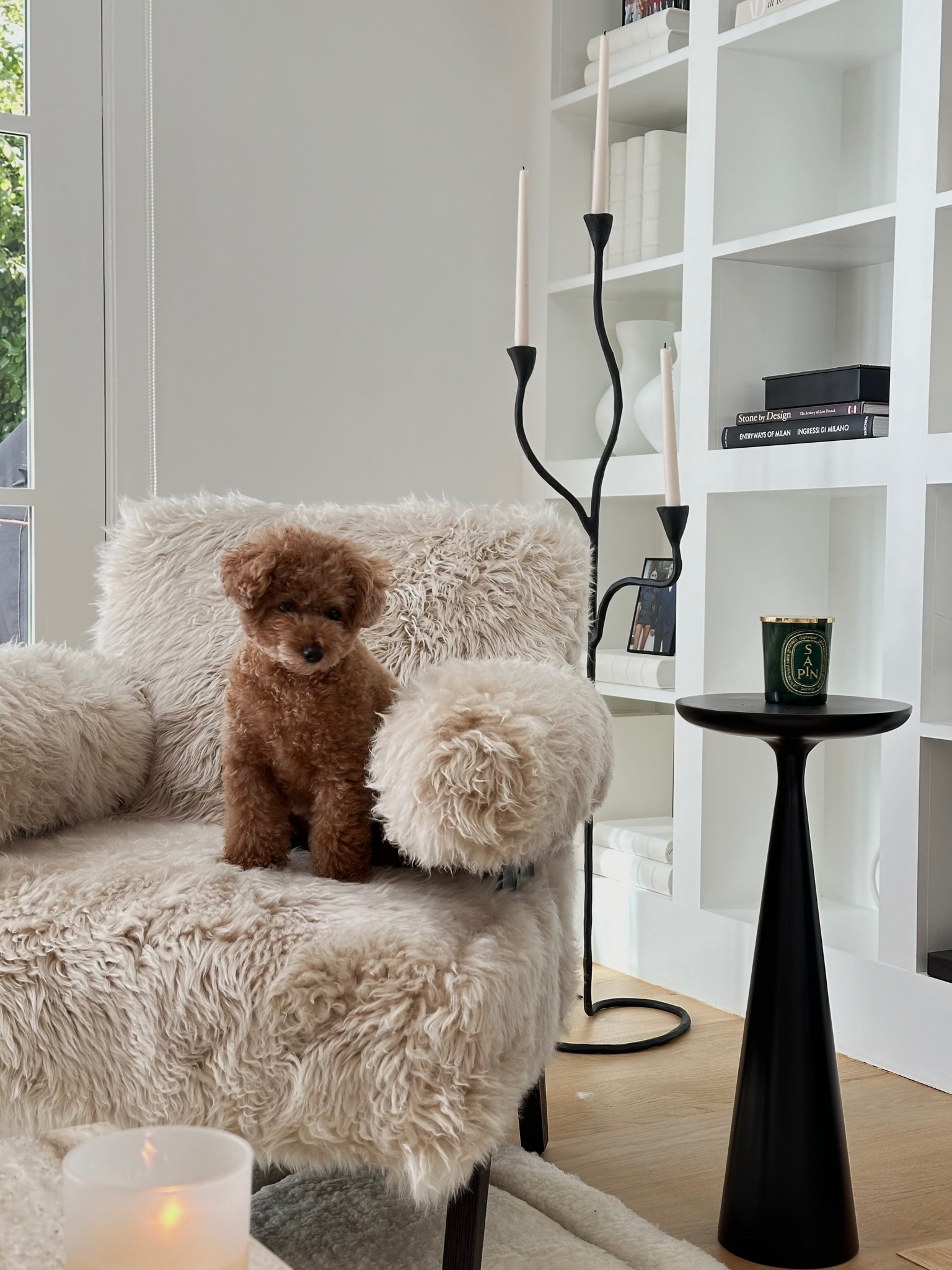 Home decor refresh! The chair is from RH - but I linked similar 🫶🏼

#LTKStyleTip #LTKFindsUnder100 #LTKHome