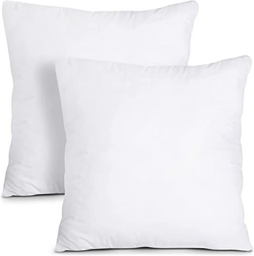 Utopia Bedding Throw Pillows Insert (Pack of 2, White) - 22 x 22 Inches Bed and Couch Pillows - I... | Amazon (US)
