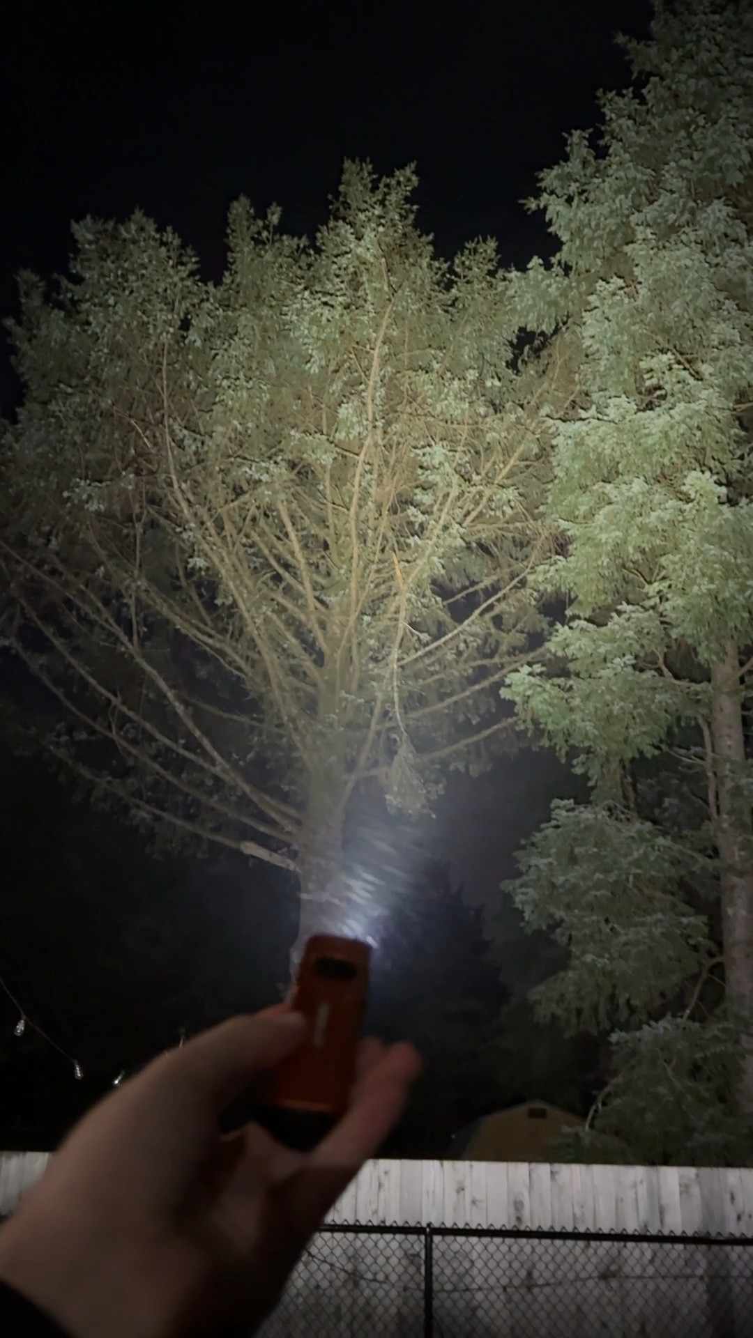 Jetbeam 2000 lumens flat edc flashlight 3 in 1 with UV and a green beam. #edc #flashlight #outdoors

#LTKU #LTKGiftGuide