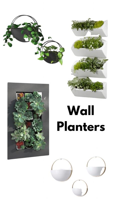Small deck? Use your walls to add more plants @wayfair #wayfair #LTKhome
