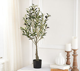 Cozy Cottage by Liz Marie 35"" Faux Olive Tree | QVC