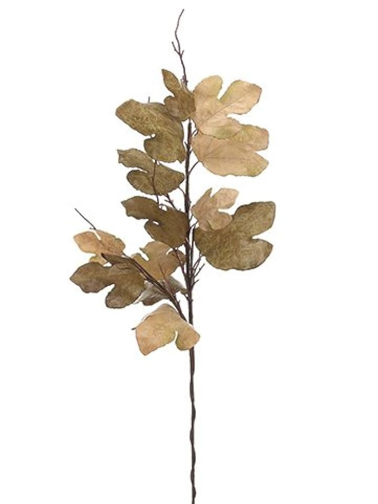 Arcadia Silk Plantation 47" Fig Leaf Spray Olive Green Tan (Pack of 6) | Amazon (US)