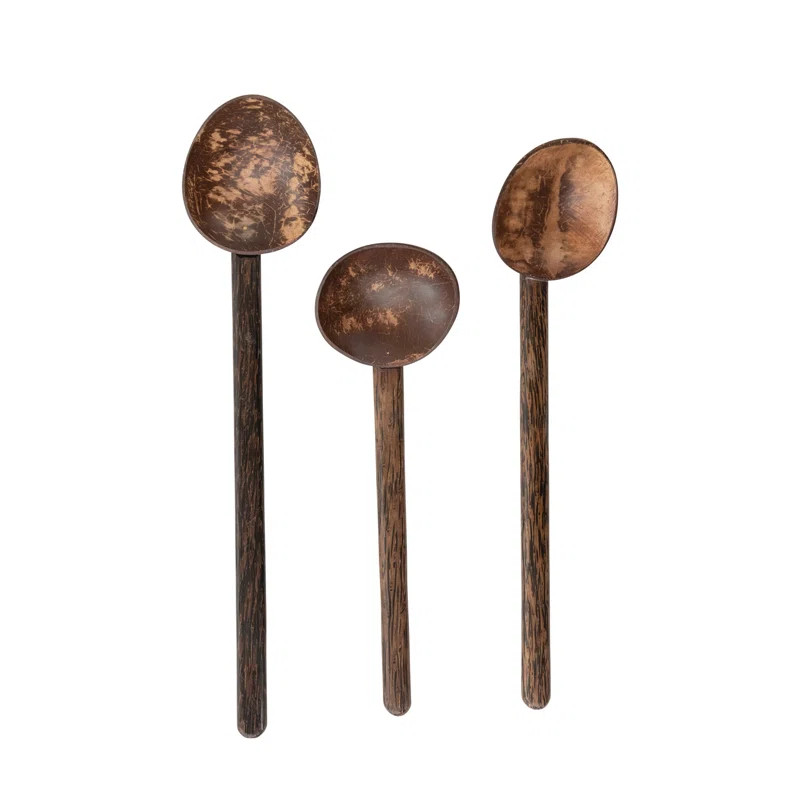 Creative Co-Op Coconut Shell Spoon With Mango Wood Handle, Set Of 3 Styles | Wayfair | Wayfair North America