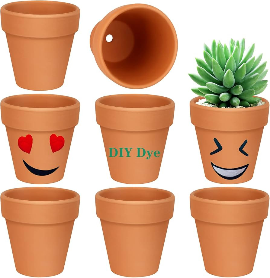FowaBay 8 Pack of 3 Inch Terracotta Pots, Small Terracotta Pots for Plants/Succulent/Cactus, Mini... | Amazon (US)